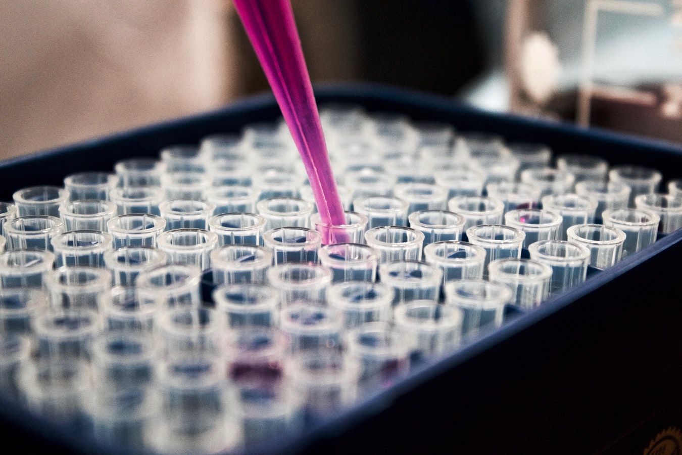A pipette dispenses a pink liquid into a tray filled with multiple transparent test tubes in a laboratory setting.